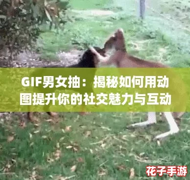 GIF男女抽：揭秘如何用动图提升你的社交魅力与互动技巧！