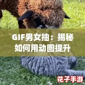 GIF男女抽:揭秘如何用动图提升你的社交魅力与互动技巧! GIF男女抽:揭秘如何用动图提升你的社交魅力与互动技巧!