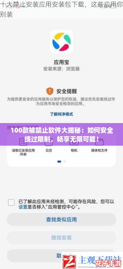 100款被禁止软件大揭秘：如何安全绕过限制，畅享无限可能！