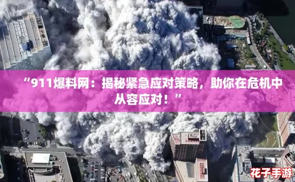 “911爆料网：揭秘紧急应对策略，助你在危机中从容应对！”