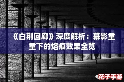 《白荆回廊》深度解析：幕影重重下的烙痕效果全览