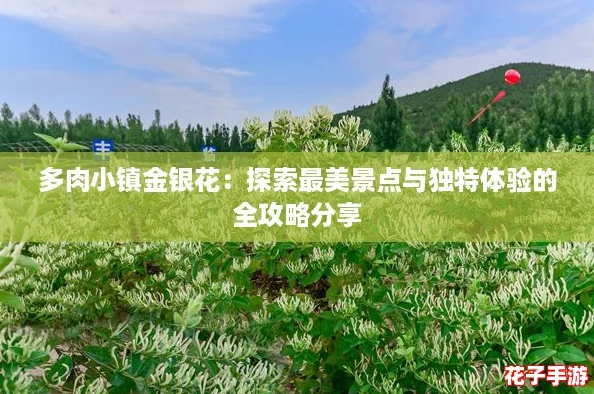 多肉小镇金银花：探索最美景点与独特体验的全攻略分享