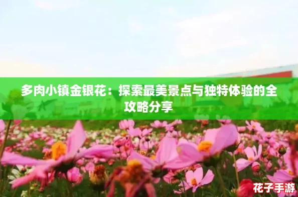 多肉小镇金银花：探索最美景点与独特体验的全攻略分享