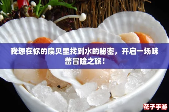 我想在你的扇贝里找到水的秘密，开启一场味蕾冒险之旅！