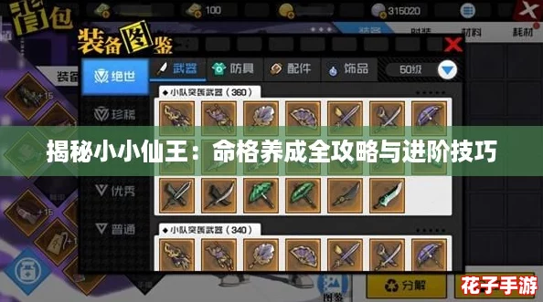 揭秘小小仙王：命格养成全攻略与进阶技巧