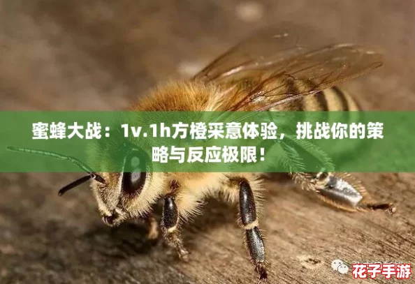 蜜蜂大战:1v.1h方橙采意体验,挑战你的策略与反应极限! 蜜蜂大战:1v.1h方橙采意体验,挑战你的策略与反应极限!