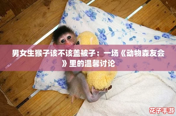 男女生猴子该不该盖被子：一场《动物森友会》里的温馨讨论
