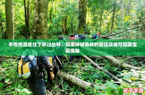 手慢慢游走往下穿过丛林：探索神秘森林的最佳攻略与隐藏宝藏揭秘