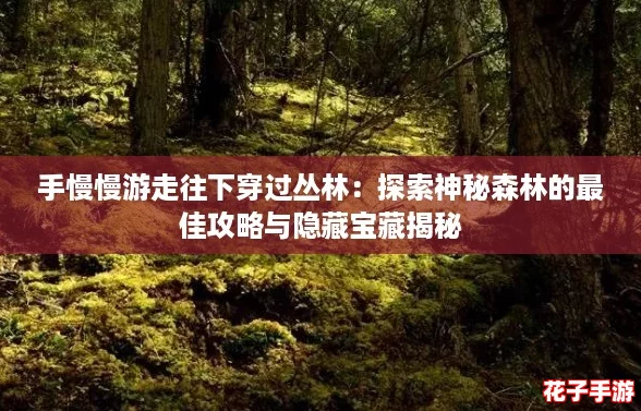 手慢慢游走往下穿过丛林：探索神秘森林的最佳攻略与隐藏宝藏揭秘