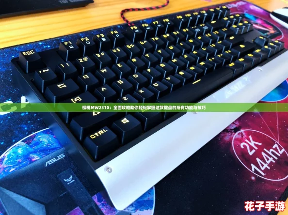 樱桃MW2310：全面攻略助你轻松掌握这款键盘的所有功能与技巧