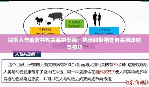 探索人与畜禽共性关系的奥秘：揭示和谐相处的实用攻略与技巧