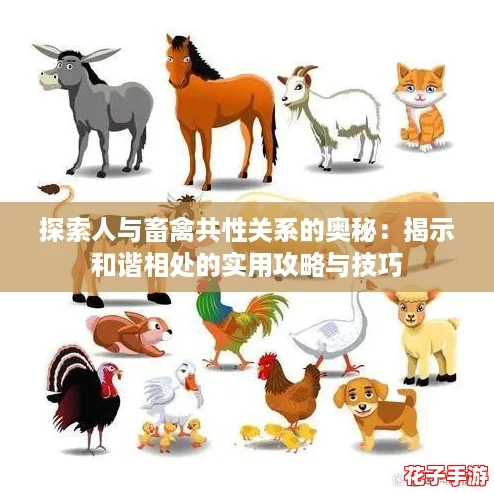 探索人与畜禽共性关系的奥秘：揭示和谐相处的实用攻略与技巧
