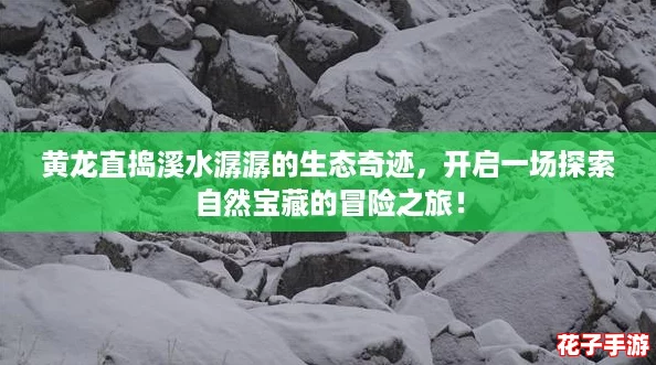 黄龙直捣溪水潺潺的生态奇迹，开启一场探索自然宝藏的冒险之旅！