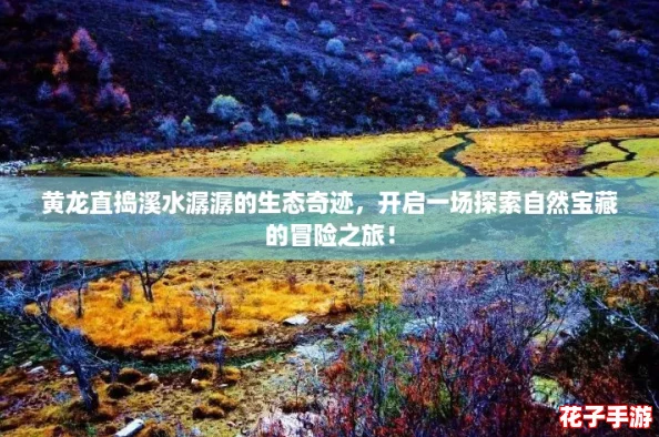 黄龙直捣溪水潺潺的生态奇迹,开启一场探索自然宝藏的冒险之旅! 黄龙直捣溪水潺潺的生态奇迹,开启一场探索自然宝藏的冒险之旅!