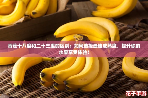 香蕉十八度和二十三度的区别：如何选择最佳成熟度，提升你的水果享受体验！