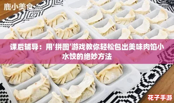 课后辅导:用‘拼图’游戏教你轻松包出美味肉馅小水饺的绝妙方法 课后辅导:用‘拼图’游戏教你轻松包出美味肉馅小水饺的绝妙方法
