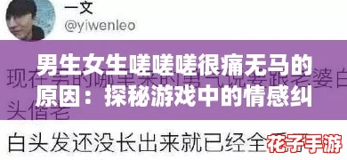 男生女生嗟嗟嗟很痛无马的原因：探秘游戏中的情感纠葛与成长之路