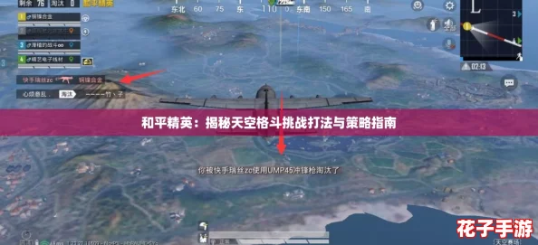 和平精英：揭秘天空格斗挑战打法与策略指南