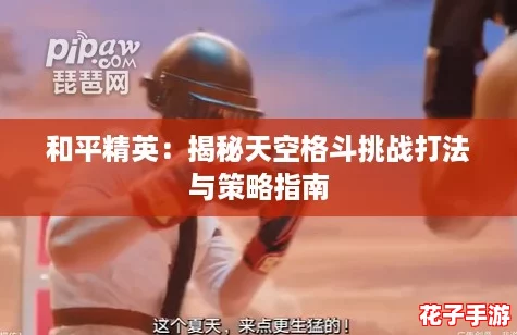 和平精英：揭秘天空格斗挑战打法与策略指南