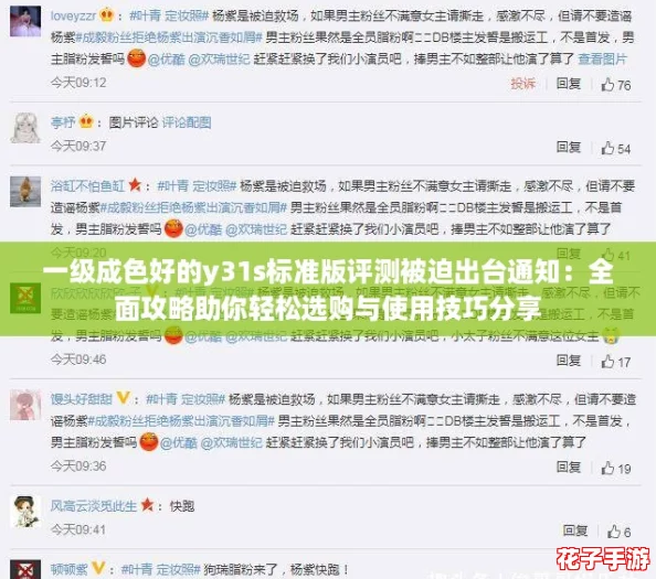 一级成色好的y31s标准版评测被迫出台通知：全面攻略助你轻松选购与使用技巧分享