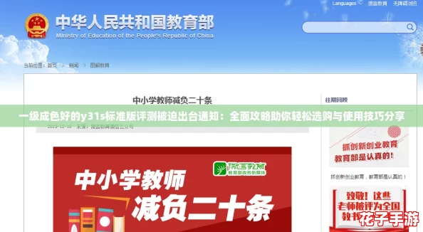 一级成色好的y31s标准版评测被迫出台通知：全面攻略助你轻松选购与使用技巧分享