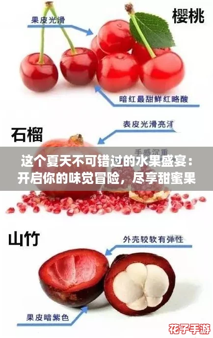 这个夏天不可错过的水果盛宴：开启你的味觉冒险，尽享甜蜜果汁大作战！