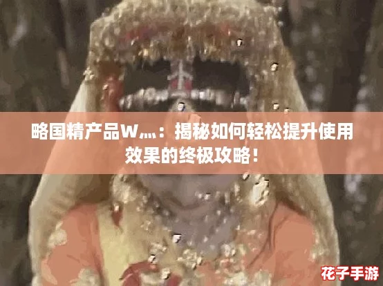 略国精产品W灬：揭秘如何轻松提升使用效果的终极攻略！