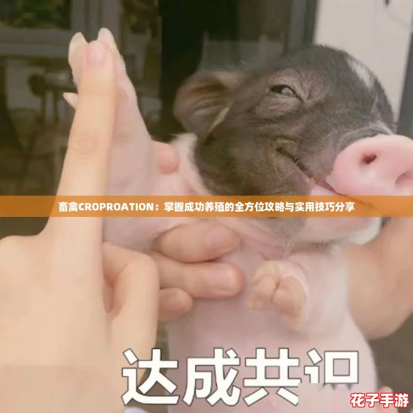畜禽CROPROATION：掌握成功养殖的全方位攻略与实用技巧分享