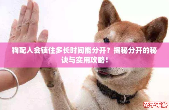 狗配人会锁住多长时间能分开？揭秘分开的秘诀与实用攻略！