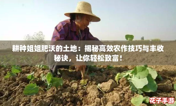 耕种姐姐肥沃的土地：揭秘高效农作技巧与丰收秘诀，让你轻松致富！