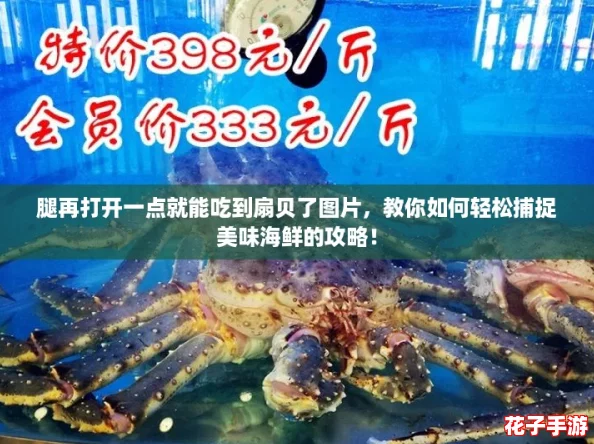 腿再打开一点就能吃到扇贝了图片，教你如何轻松捕捉美味海鲜的攻略！