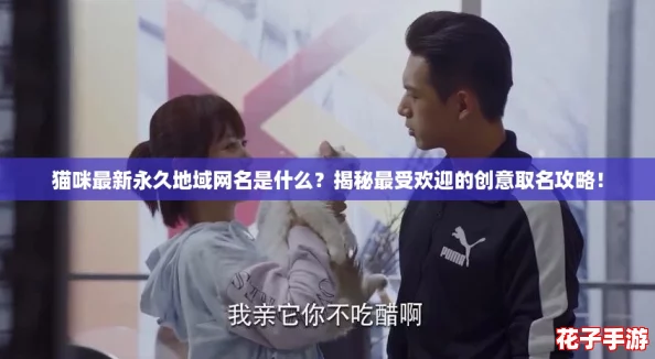 猫咪最新永久地域网名是什么？揭秘最受欢迎的创意取名攻略！