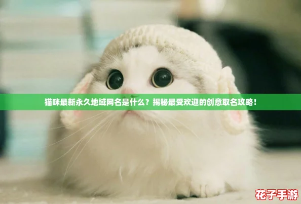 猫咪最新永久地域网名是什么?揭秘最受欢迎的创意取名攻略! 猫咪最新永久地域网名是什么?揭秘最受欢迎的创意取名攻略!