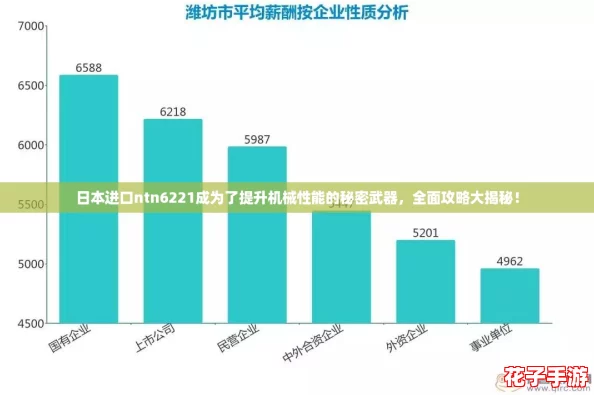 日本进口ntn6221成为了提升机械性能的秘密武器，全面攻略大揭秘！