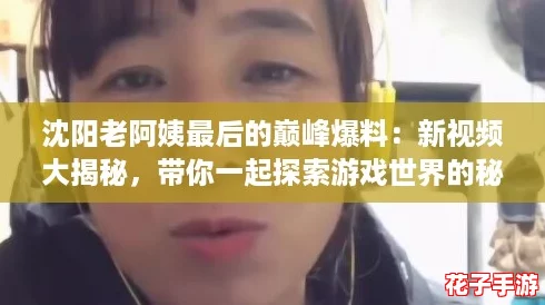 沈阳老阿姨最后的巅峰爆料：新视频大揭秘，带你一起探索游戏世界的秘密！