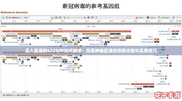 无人区编码6229JM如何解读：探索神秘区域的终极攻略与实用技巧