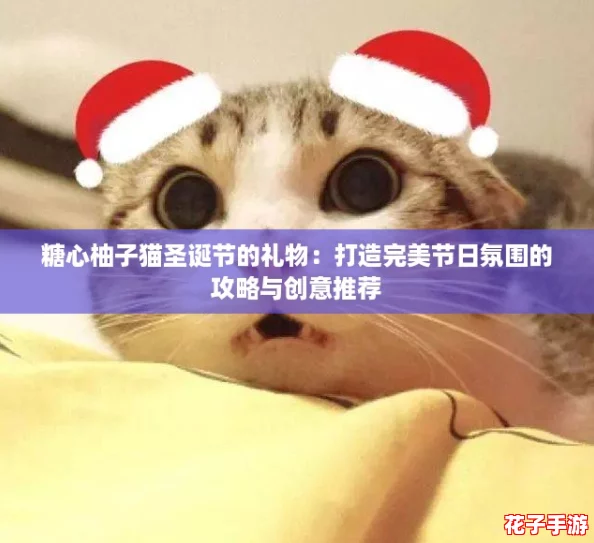 糖心柚子猫圣诞节的礼物：打造完美节日氛围的攻略与创意推荐