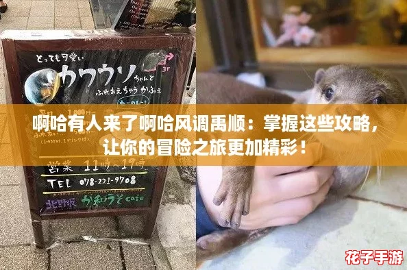 啊哈有人来了啊哈风调禹顺：掌握这些攻略，让你的冒险之旅更加精彩！