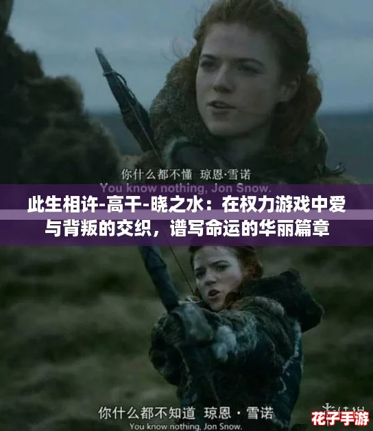 此生相许-高干-晓之水：在权力游戏中爱与背叛的交织，谱写命运的华丽篇章