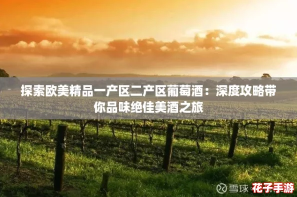探索欧美精品一产区二产区葡萄酒：深度攻略带你品味绝佳美酒之旅