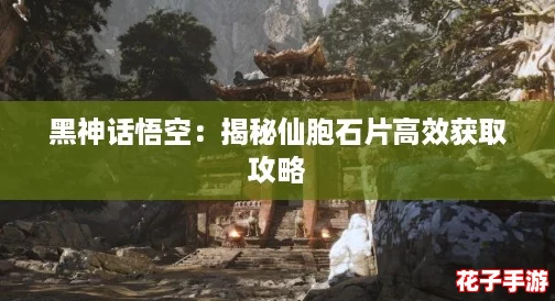 黑神话悟空：揭秘仙胞石片高效获取攻略