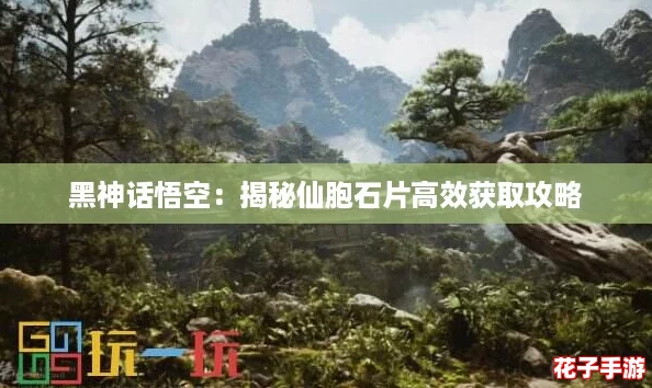 黑神话悟空:揭秘仙胞石片高效获取攻略 黑神话悟空:揭秘仙胞石片高效获取攻略