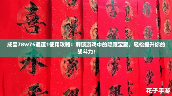 成品78w75通道1使用攻略：解锁游戏中的隐藏宝藏，轻松提升你的战斗力！