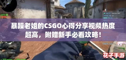 暴躁老姐的CSGO心得分享视频热度超高，附赠新手必看攻略！