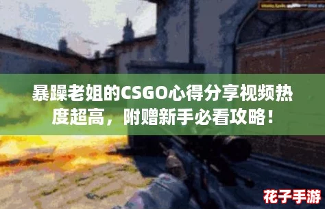 暴躁老姐的CSGO心得分享视频热度超高，附赠新手必看攻略！