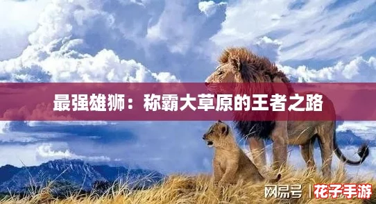 最强雄狮：称霸大草原的王者之路