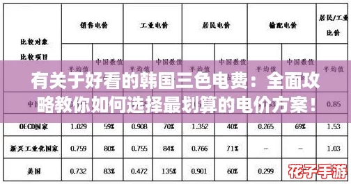 有关于好看的韩国三色电费：全面攻略教你如何选择最划算的电价方案！