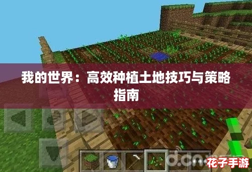 我的世界：高效种植土地技巧与策略指南