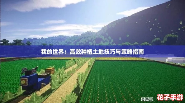 我的世界:高效种植土地技巧与策略指南 我的世界:高效种植土地技巧与策略指南