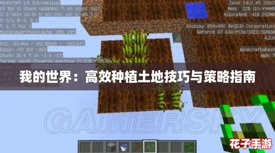 我的世界:高效种植土地技巧与策略指南 我的世界:高效种植土地技巧与策略指南